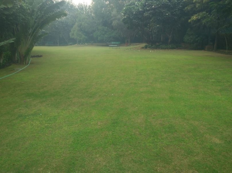 DLF Windsor Court Sector 27 Gurgaon