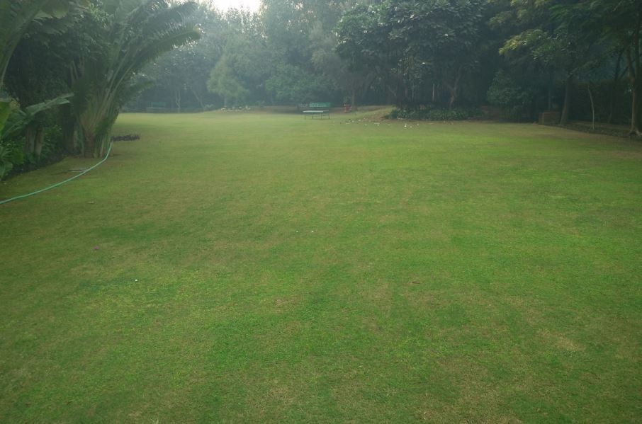DLF Windsor Court Sector 27 Gurgaon